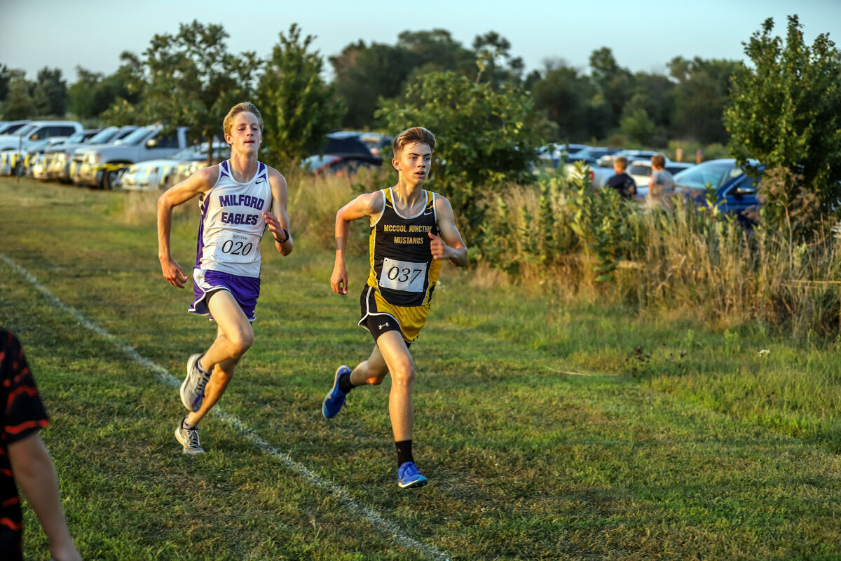 York McCool Cross Country (41).jpg